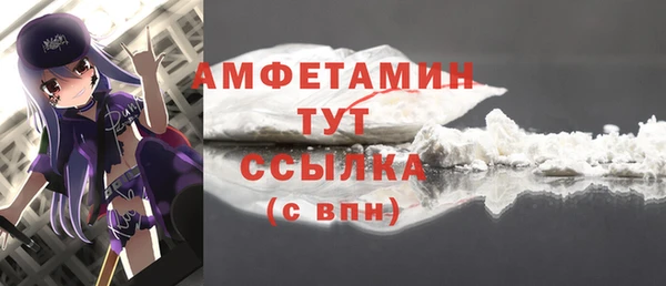 PSILOCYBIN Вяземский