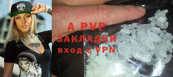 PSILOCYBIN Вяземский